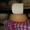  1/4 de tomme de MELANGE ( composé de 65% lait de vache + 35% de lait de brebis)