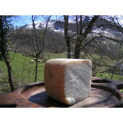 1/4 de tomme de pur BREBIS